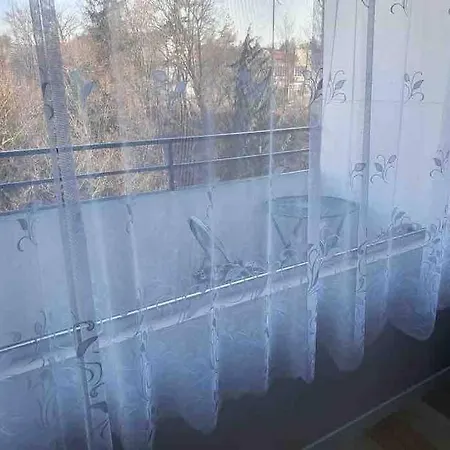 Apartment 55 I Cental Hof I Wifi I Tv